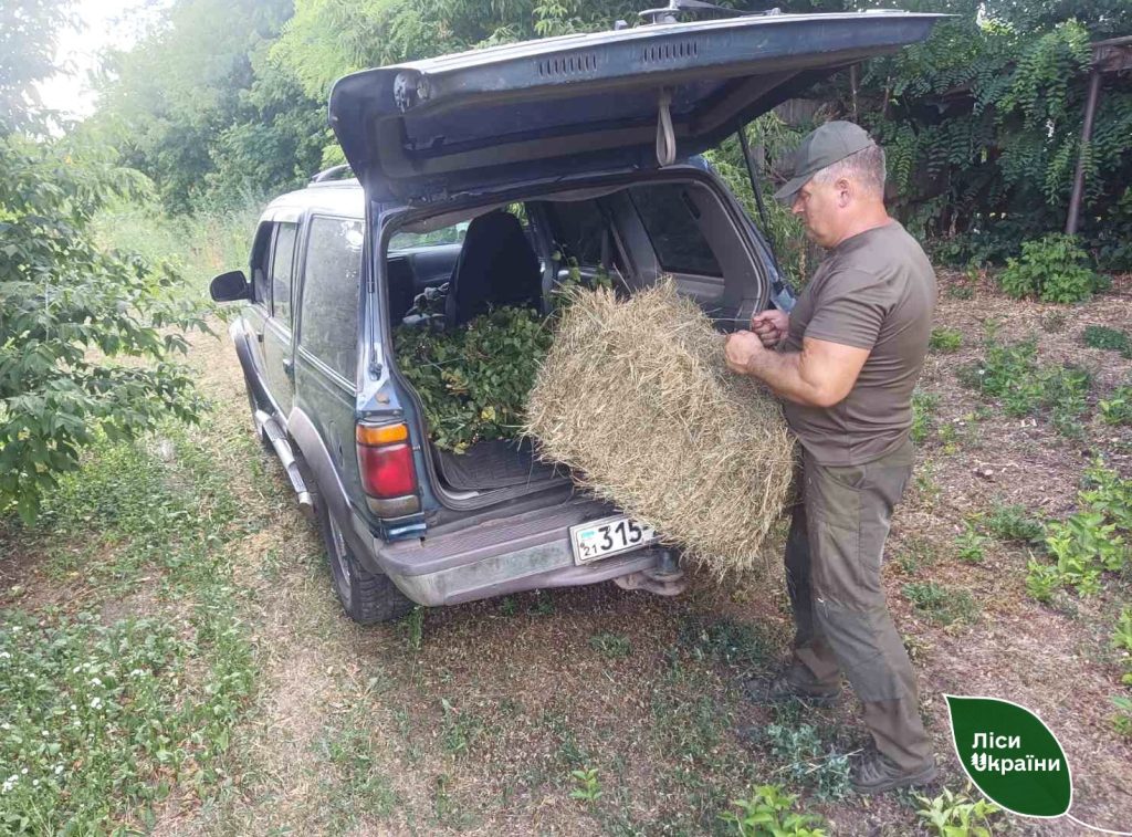 В лесхозе на Харьковщине навязали 800 веников и заготовили тонну сена: зачем