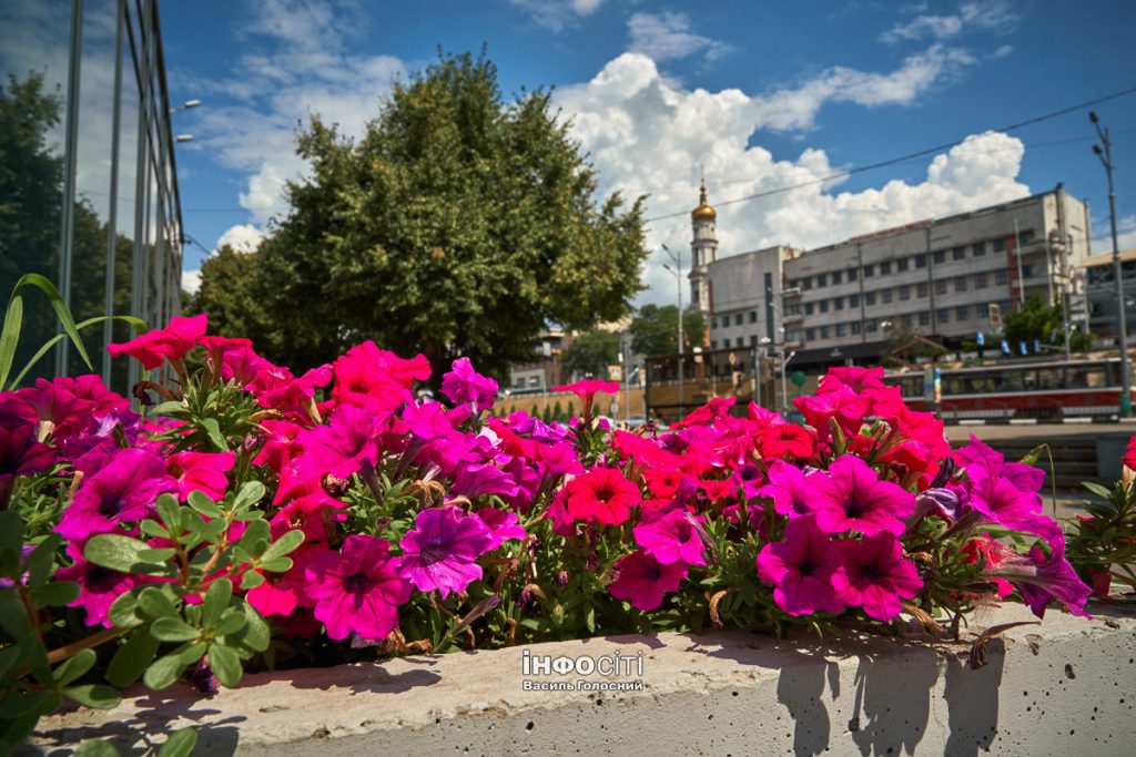 Температура вище норми: синоптики дали прогноз на серпень у Харкові й області