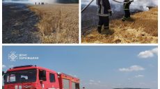 Пшеничне поле горіло на Харківщині: ДСНСники врятували 10 га