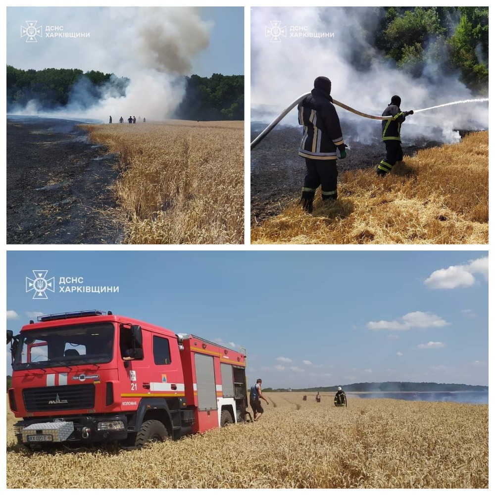 Пшеничне поле горіло на Харківщині: ДСНСники врятували 10 га