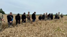 Дістатися Угорщини через пшеничне поле хотіли ухилянти з Харкова (відео)