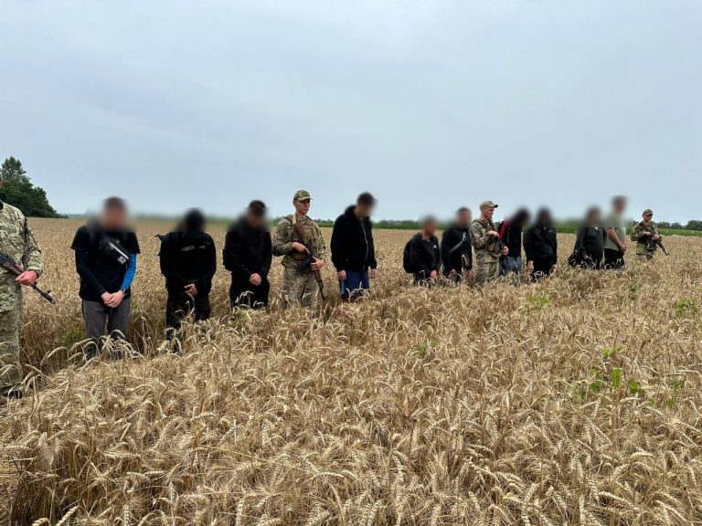 Добраться до Венгрии через пшеничное поле хотели уклонисты из Харькова (видео)