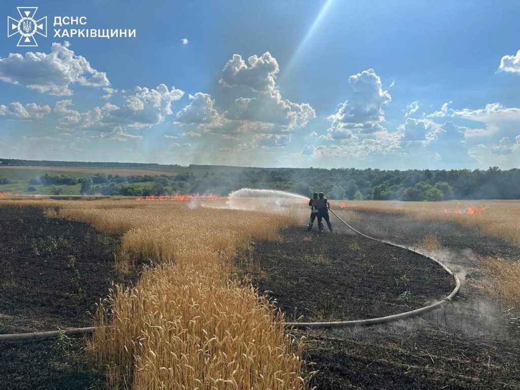Ворог ударив по хлібному полю на Харківщині, щоб знищити врожай – ДСНС (фото)