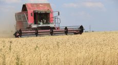 «Урожаи не радуют»: на юге Харьковщины начали убирать ранние зерновые