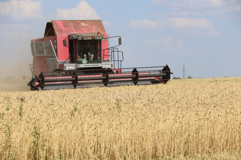 “Врожаї не радують”: на півдні Харківщини почали збирати ранні зернові