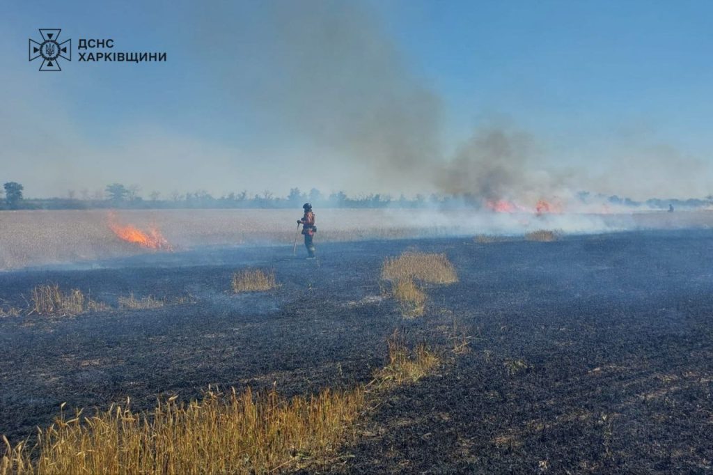 Черговий удар по полю на Харківщині: 20 га пшениці спалили військові РФ (фото)