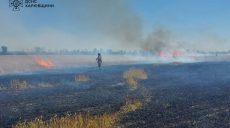 Черговий удар по полю на Харківщині: 20 га пшениці спалили військові РФ (фото)