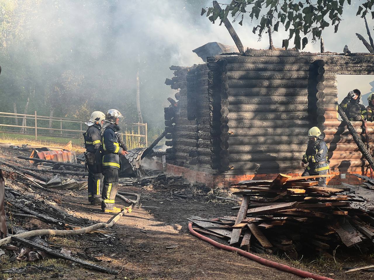 Кенгуру зник безвісти після удару по екопарку під Харковом