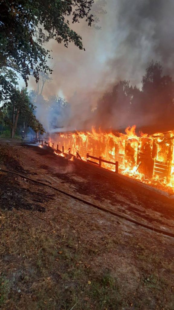 Удар по экопарку под Харьковом: кенгуру нашли, их перевезут