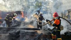 «Прилет» по экопарку в Харькове: коней успели спасти (видео)