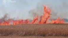 Поле із понад 50 га пшениці вогнеборці врятували від полум’я на Харківщині