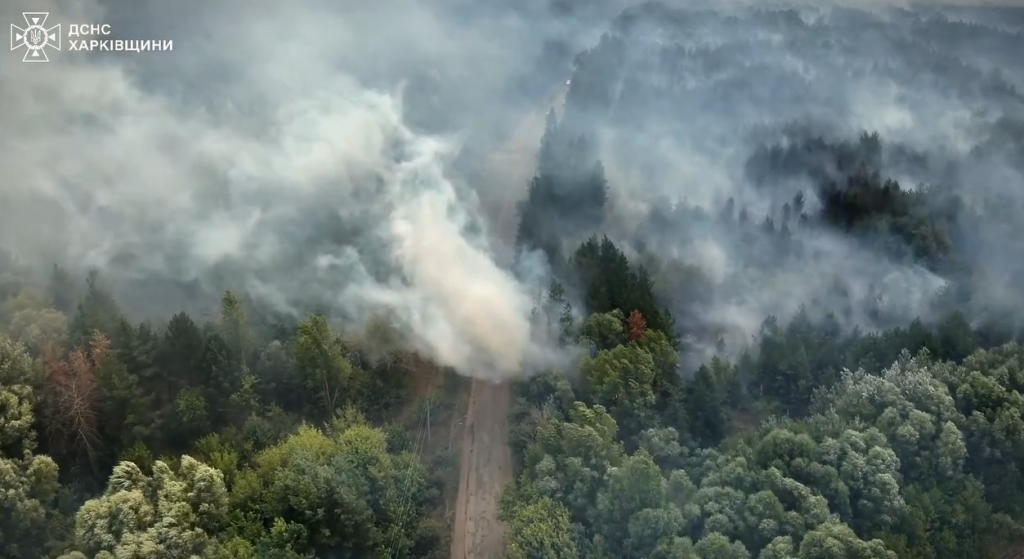 Масштабну пожежу в лісі поблизу Балаклії загасили за понад 4 доби (відео)