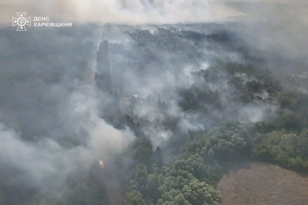 Пожежа в лісі у Балаклії триває: вогонь вже поширився на 40 га (фото)