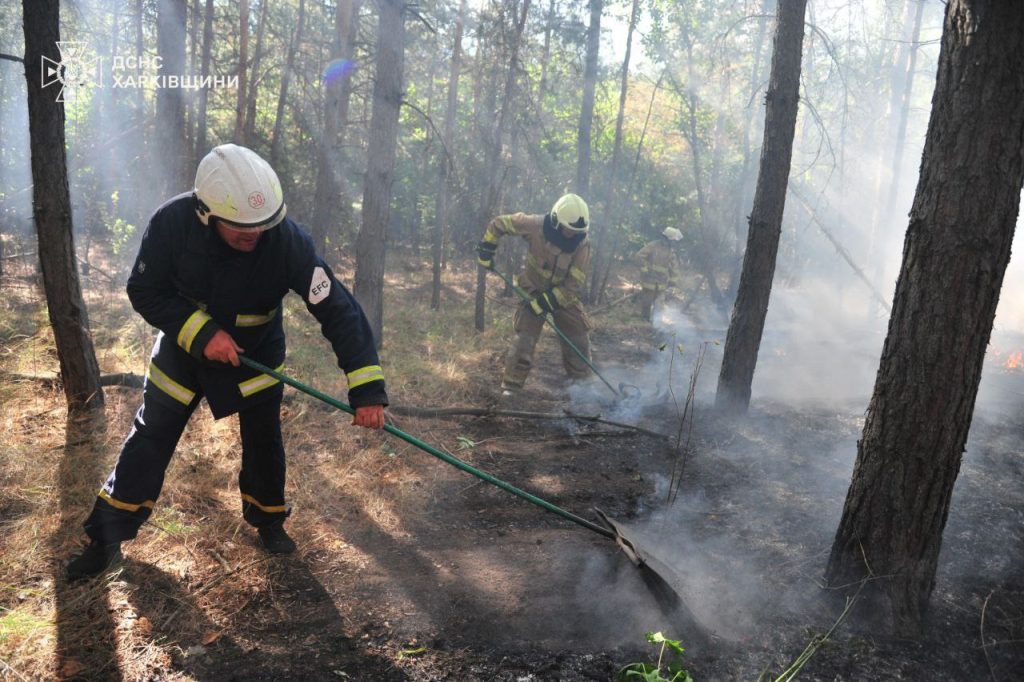 Масштабну пожежу в лісі поблизу Балаклії на Харківщині зупинили (фото)