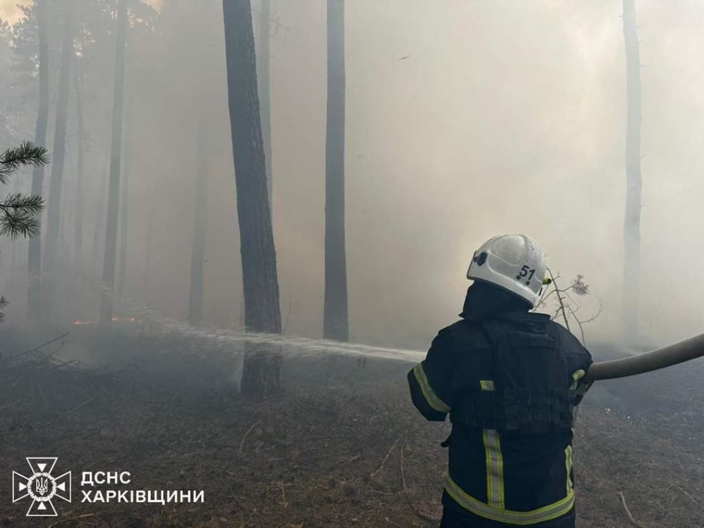 Семь лесных пожаров тушат на Харьковщине: огнем охвачены более 143 гектаров