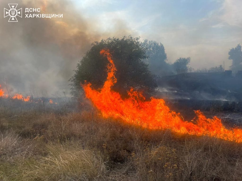 Пожар на 2,5 га из-за удара КАБами возник в Харьковской области (фото)