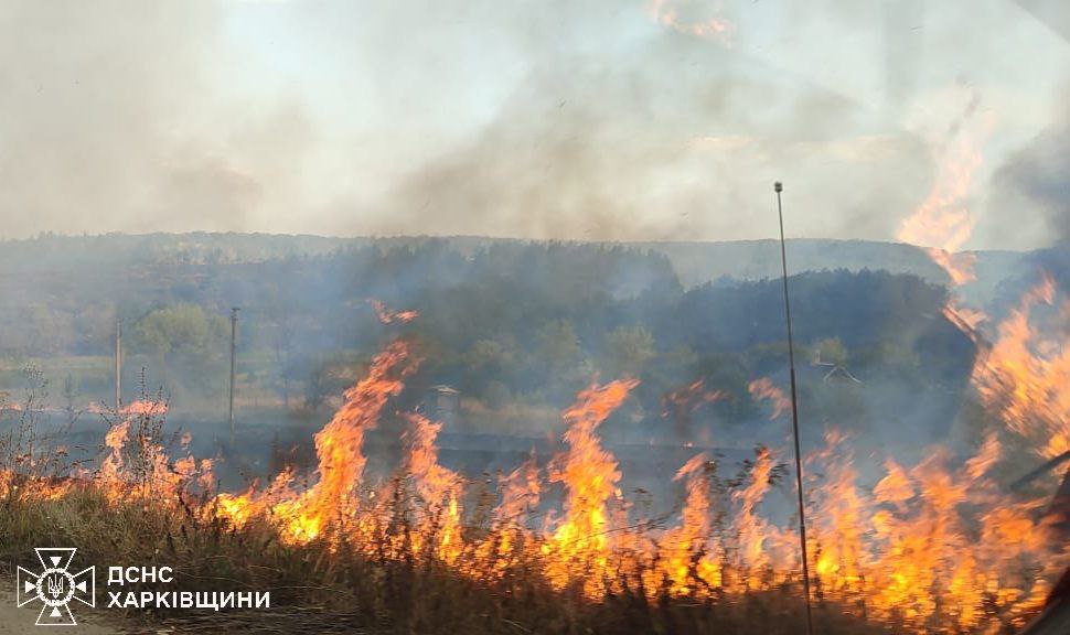 155 пожеж за добу виникло в екосистемах Харківщини, горіло 294 га