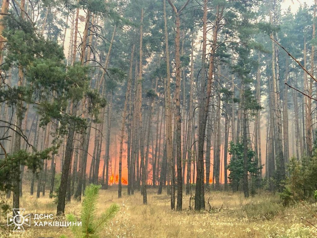 Третю добу рятувальники намагаються загасити пожежу в Ізюмському районі