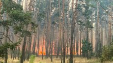 Третю добу рятувальники намагаються загасити пожежу в Ізюмському районі