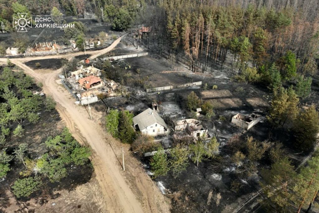 Масштабну пожежу в Ізюмських лісах ліквідували – ДСНС