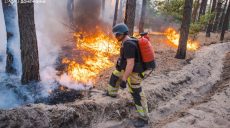 Масштабна лісова пожежа на Харківщині: у ДСНС розповіли, як усе відбувалося