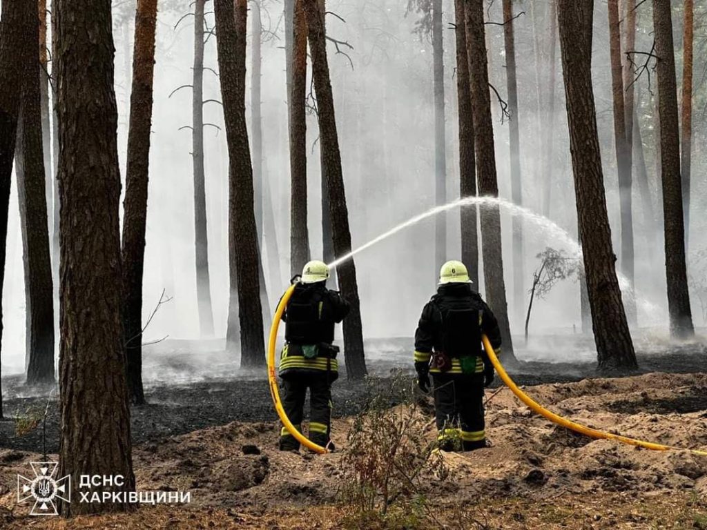 Ліси Харківщини у вогні: у ДСНС назвали локації десяти пожеж в області