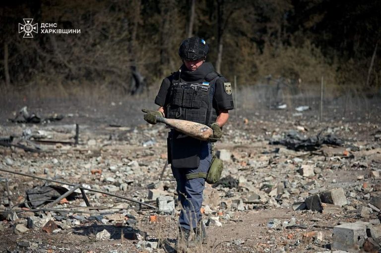 Розмінували 30 тис. га, залишилося 1,2 млн: що прискорить очищення Харківщини