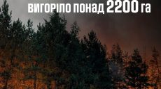 2200 га знищено через пожежі на Харківщині за тиждень, постраждали 11 людей