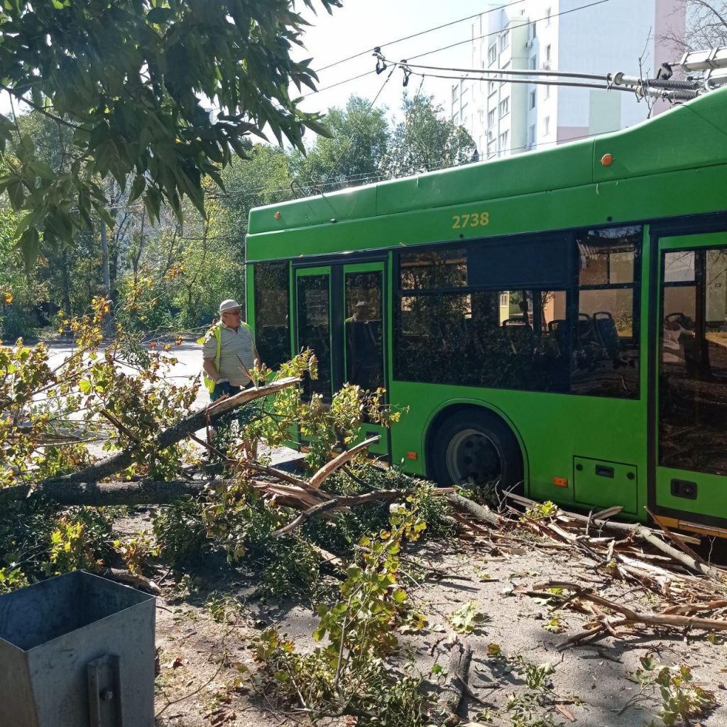 Ураган у Харкові валив дерева: одне впало на зупинку транспорту (фото)