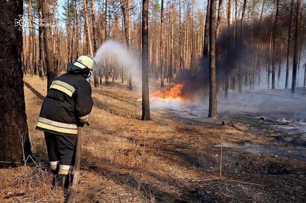 1170 га лісу горить на Харківщині: чи є загроза населеним пунктам (фото)