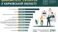 Кому готові платити 50 тисяч гривень: актуальні вакансії Харківщини