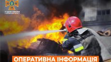 Харківщина у вогні: за добу – понад пів сотні пожеж в природних екосистемах