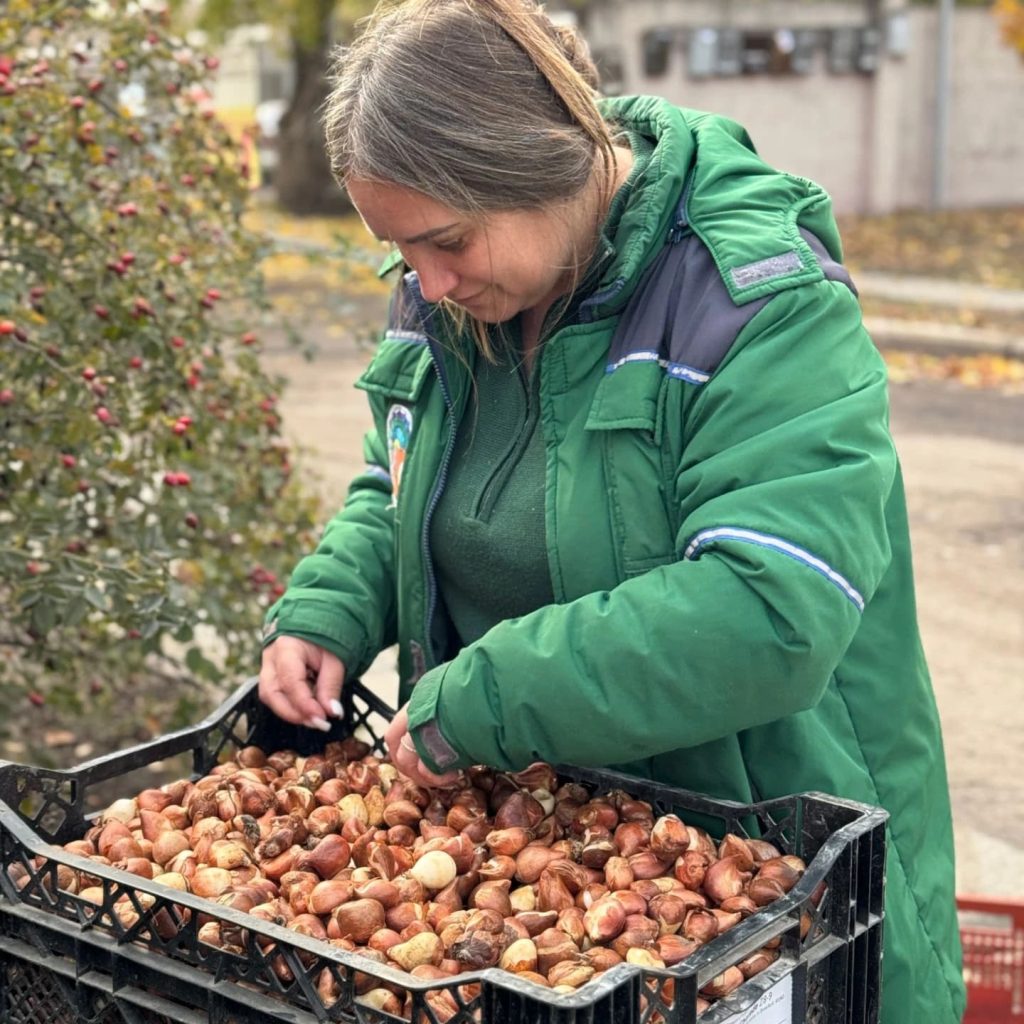 тюльпаны для Харькова