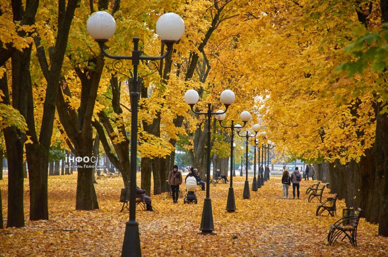 Вночі та вранці туман. Якою буде погода 29 жовтня у Харкові та області