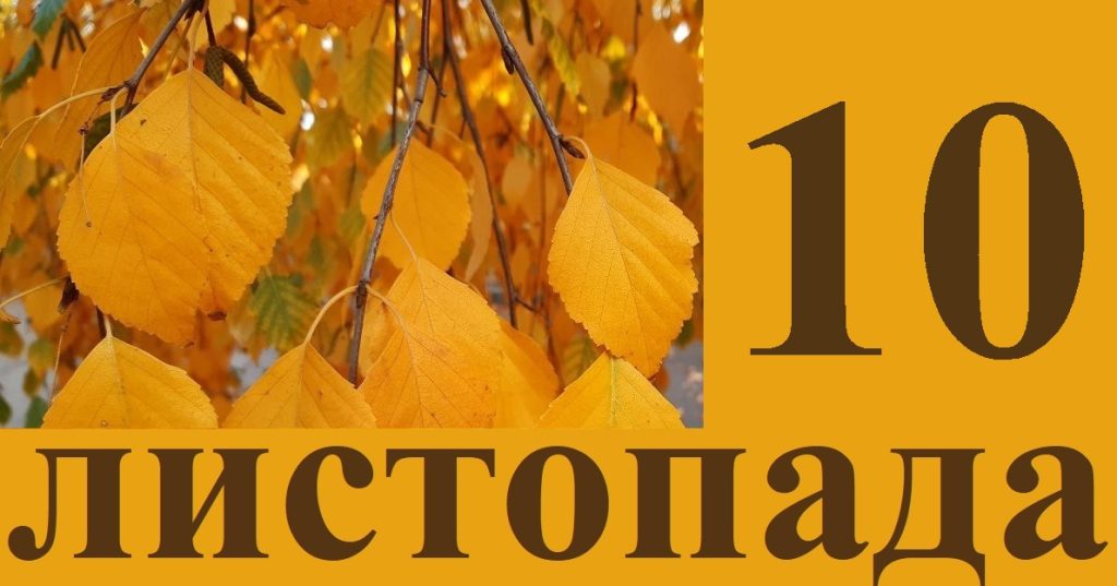 Сьогодні 10 листопада: яке свято та день в історії