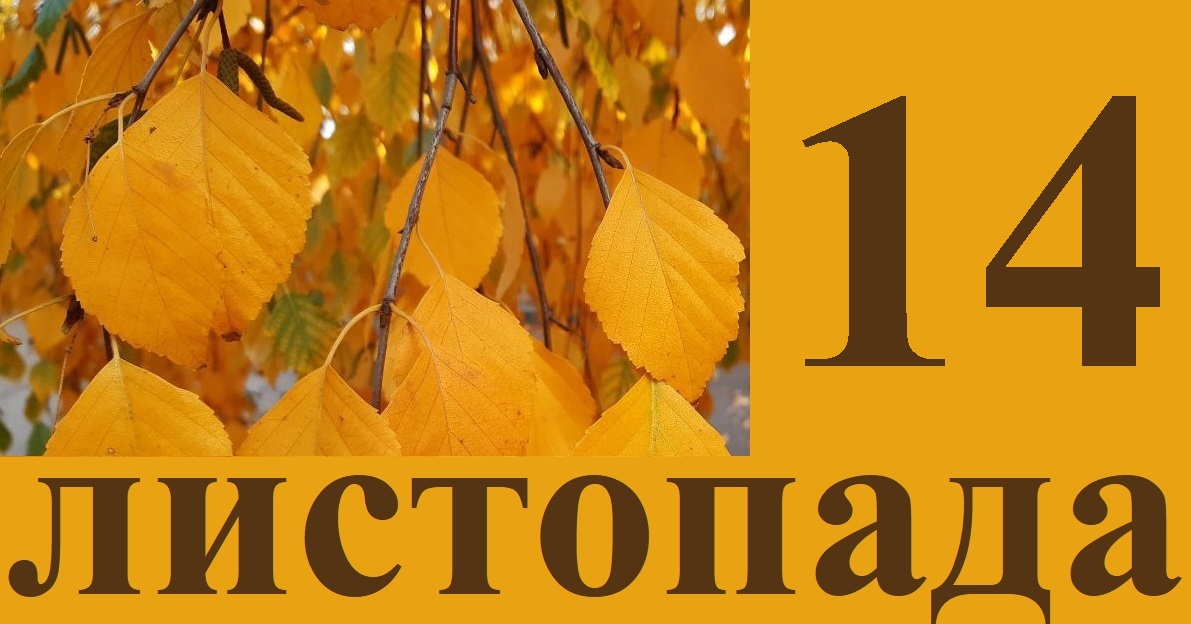 Сьогодні 14 листопада: яке свято та день в історії