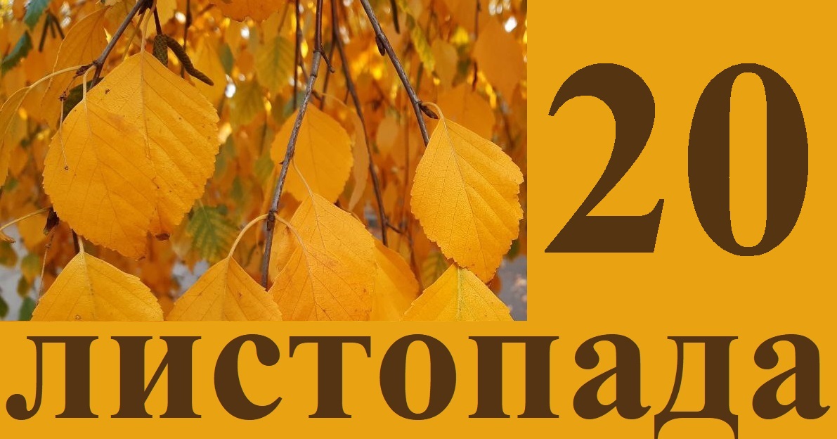 Сьогодні 20 листопада: яке свято та день в історії