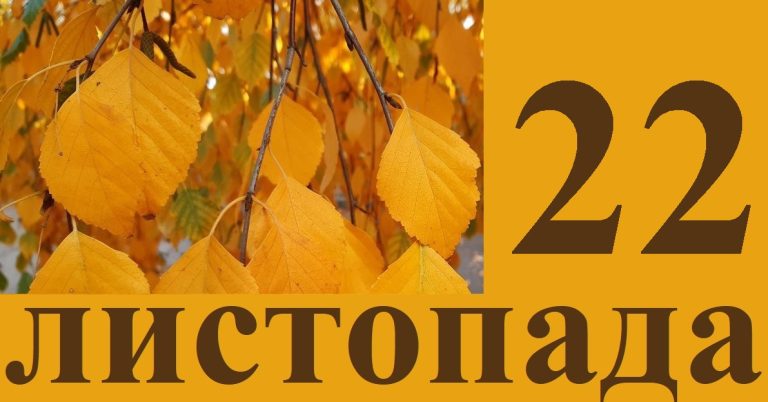 Сьогодні 22 листопада: яке свято та день в історії