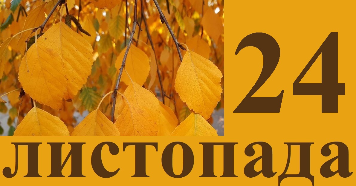 Сьогодні 24 листопада: яке свято та день в історії