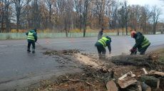 Что натворил сильный ветер в Харькове, показали коммунальщики (фото)