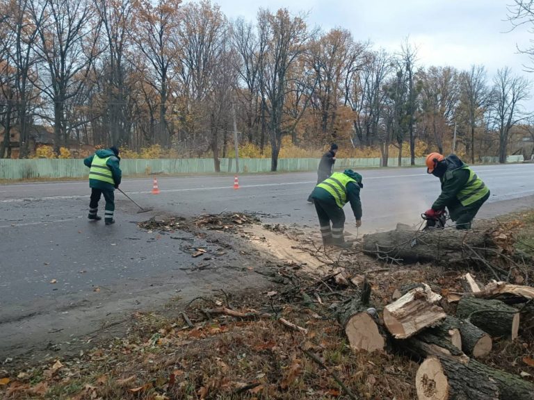 Что натворил сильный ветер в Харькове, показали коммунальщики (фото)