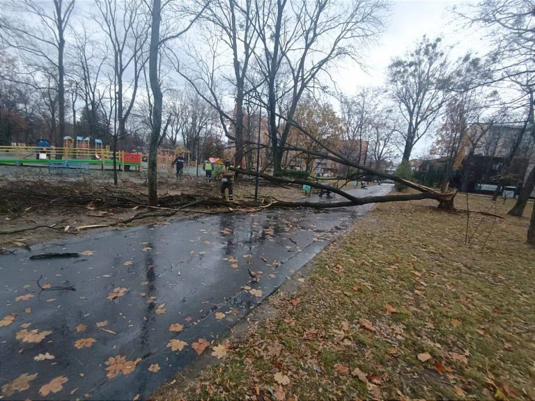 Около 90 деревьев повредил ураган в Харькове накануне (фото)