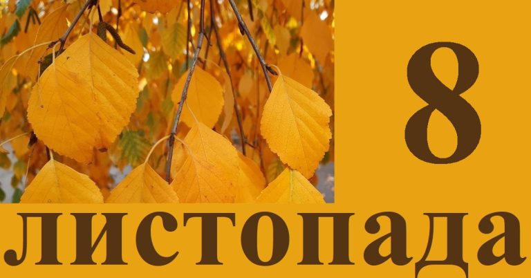 Сьогодні 8 листопада: яке свято та день в історії