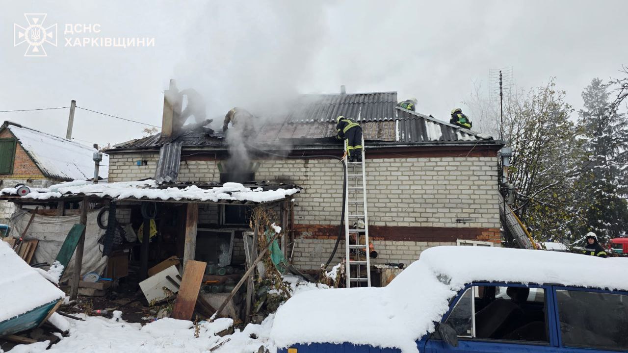 Четыре ребенка погибли в пожаре под Харьковом: из горящего дома спасли кота