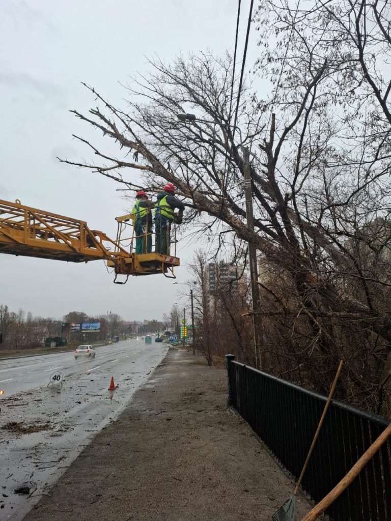 в Харькове упало дерево