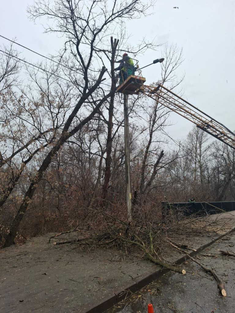 в Харкьове упало дерево