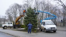 Родители просили: елку украсили в центре города на Харьковщине – Зеленский