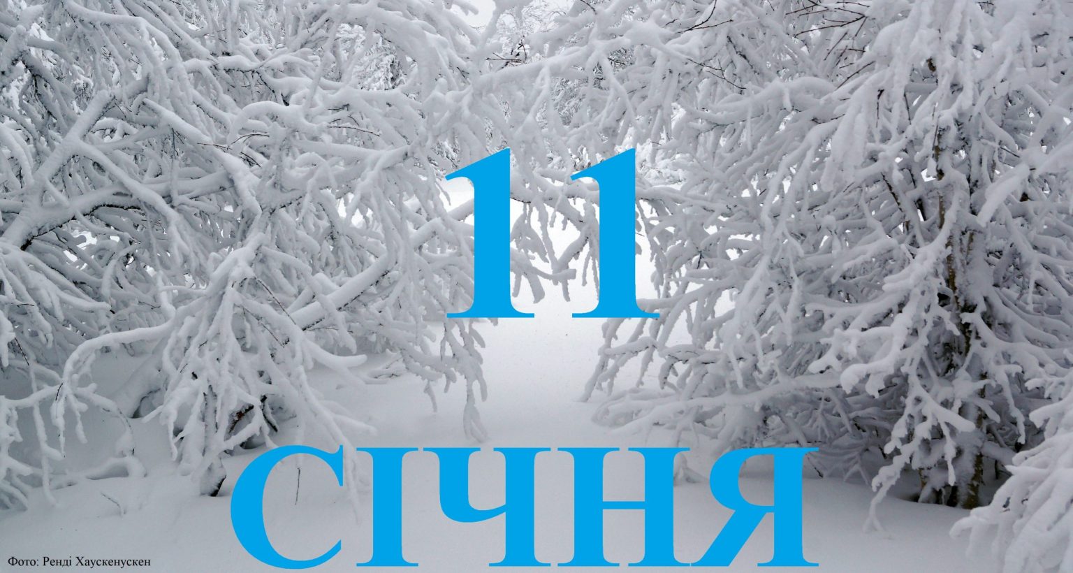 Сьогодні 11 січня: яке свято та день в історії