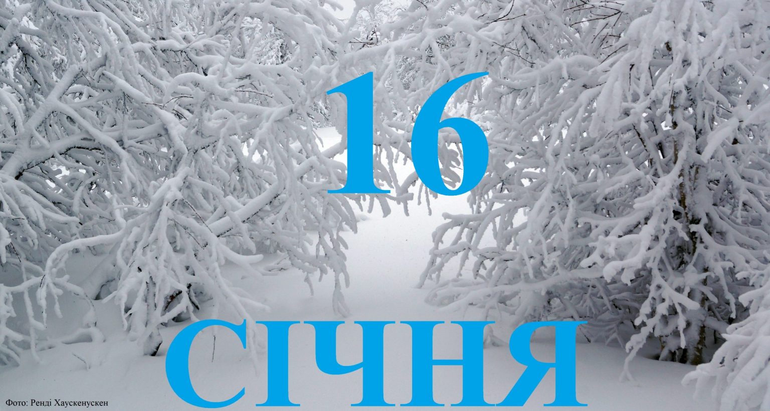 Сьогодні 16 січня: яке свято та день в історії