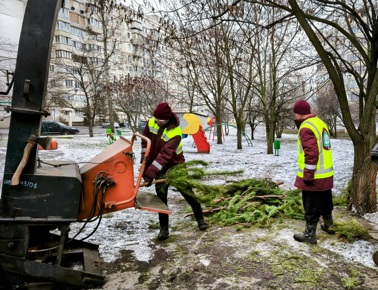 У сміттєвих баках не залишати: харків’янам розповіли, куди викидати ялинки